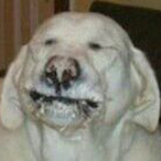 imawzrdd's Avatar'