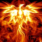 VioZorah's Avatar'