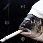 FISHY_MYSTERY's Avatar'