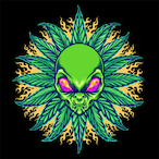 Cedric_77's Avatar'
