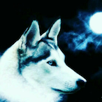 Moonwolf_yt's Avatar'