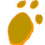 bear970205's Avatar'