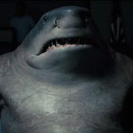 FST_LandShark's Avatar'