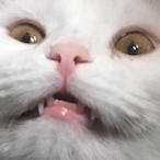 Scarecrow_Jones's Avatar'