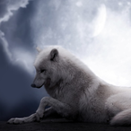 QUIPA_9's Avatar'
