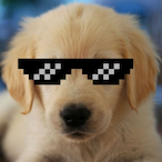 Javv__01's Avatar'