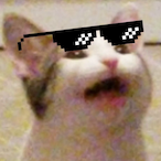 ICECATI's Avatar'