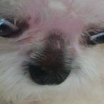 TCHETCHEKTCHURU's Avatar'