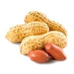 BigPeanuts.jpeg's Avatar'