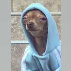 JAMbB's Avatar'
