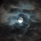 CARTMAN_Yu.VIS's Avatar'