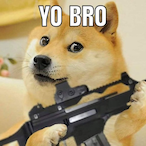 WOW_A_DOGE's Avatar'