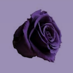 R0sid's Avatar'