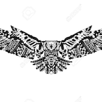 EAgles_king01's Avatar'