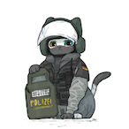 OnlyUseFlash's Avatar'