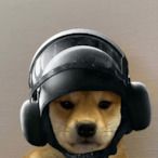 cup.io's Avatar'