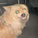 KARRR__'s Avatar'