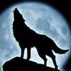 Nighthowel45's Avatar'