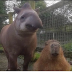 SexyBlackLord's Avatar'