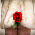 MommyWideThighs's Avatar'