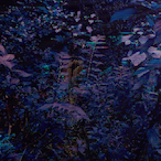 budderdgold's Avatar'