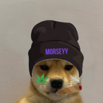 morsey.'s Avatar'
