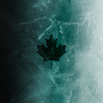 IIMR.N00BII's Avatar'