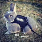 AssassinLeaderV's Avatar'