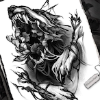 dodaro66's Avatar'