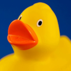 RunningDuckHead's Avatar'