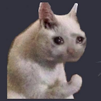 PoL399's Avatar'