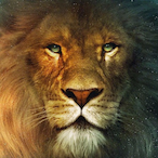 Aslanbor's Avatar'
