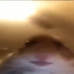 JAYDUBB2002's Avatar'