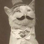 Jenzel Roman's Avatar'