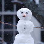 Immigrant.Cold's Avatar'