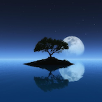 REDEMTION.Z's Avatar'