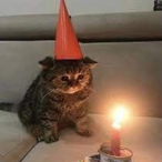 JoeIsSalty's Avatar'