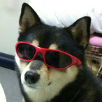 Type2turbo2_'s Avatar'