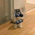 YeetNippa's Avatar'