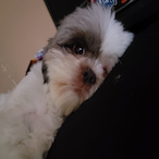 Lu1220PR's Avatar'