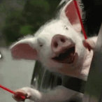 bennetyahu's Avatar'