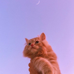 big_papa__969's Avatar'