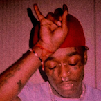 RizzyMonkey37's Avatar'