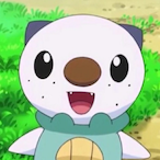 ICYOTTER05's Avatar'