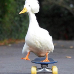 WilsonSafado's Avatar'