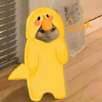 andalleixo's Avatar'