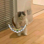 AboGhost.AnG's Avatar'