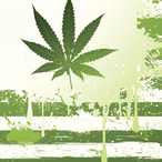 DankGrizzly904's Avatar'