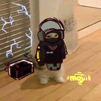 Kayoshi5684's Avatar'