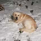 mackenburghalan's Avatar